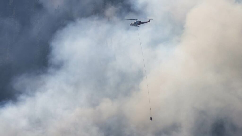 Are California Fires Contributing to Venous Health Issues?